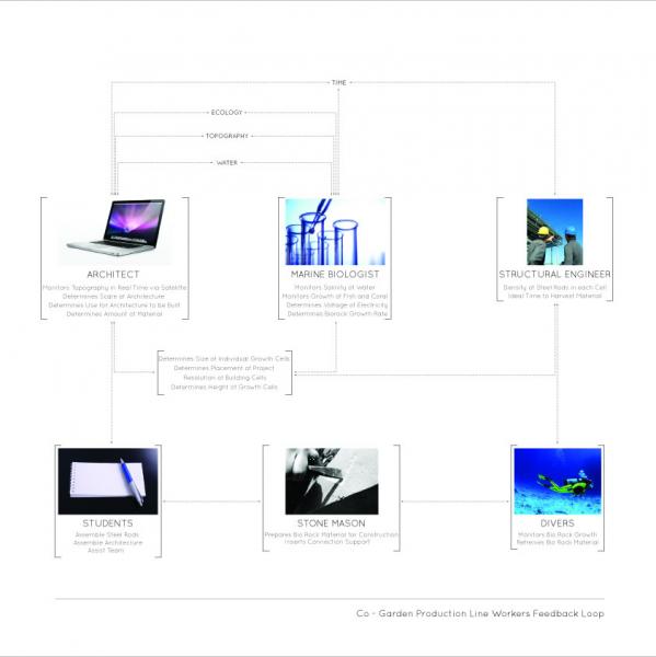 Cyber Diagram